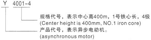 西安泰富西玛Y系列(H355-1000)高压Y5007-6/800KW三相异步电机型号说明