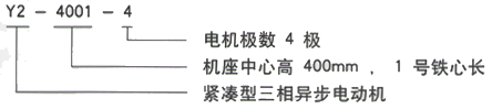 YR系列(H355-1000)高压Y5007-6/800KW三相异步电机西安西玛电机型号说明